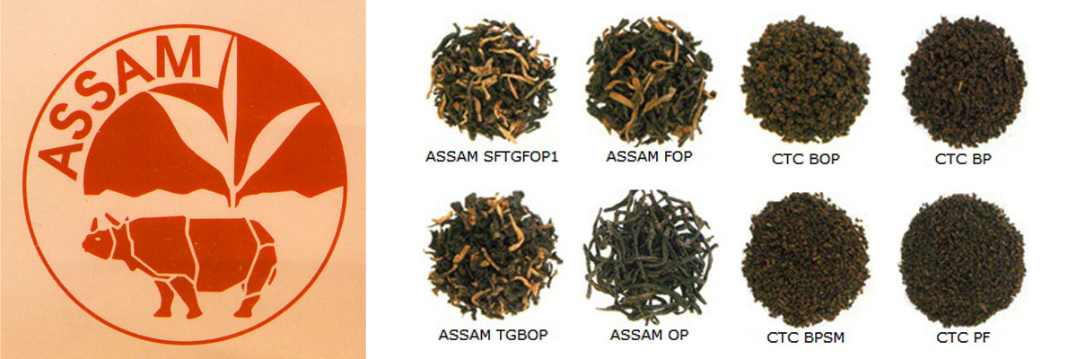 Assam Tea By Lalchand Babulal / Berlia Gold / Tea Traders in Kolkata India