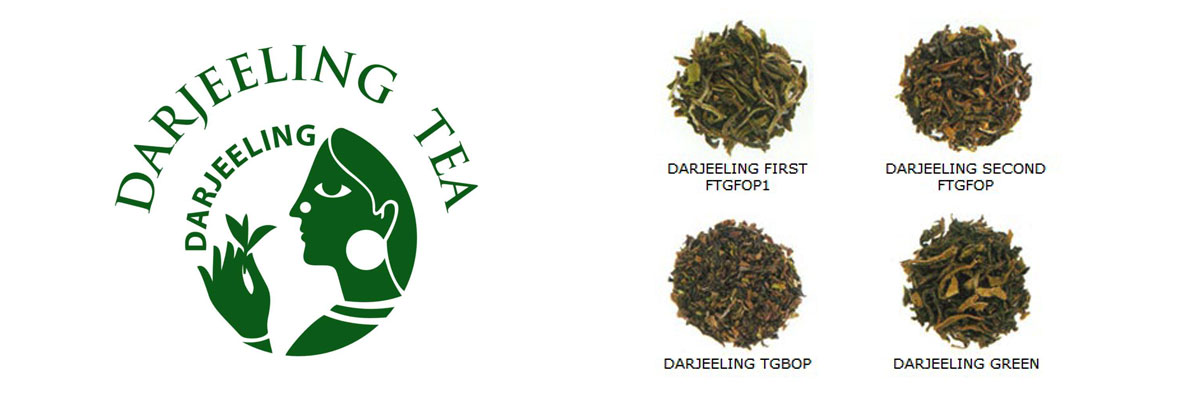 Darjeeling Tea By Lalchand Babulal / Berlia Gold / Tea Traders in Kolkata India